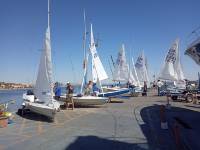 IMG-20190615-WA0004
